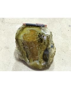 Fossilized (petrified) wood; one side polished; Garut, Java, Indonesia; 9.94 kg; unique piece
