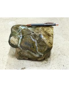 Fossilized (petrified) wood; Garut, Java, Indonesia; 4.18 kg; unique piece
