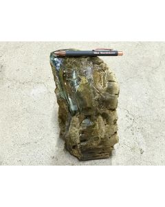 Fossilized (petrified) wood; Garut, Java, Indonesia; 4.24 kg; unique piece

