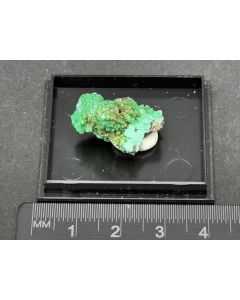 Cuproadamin, Gartrellit xx; Tsumeb Mine, Otaviberge, Namibia; Ilse Baer Sammlung; MM; Einzelstück