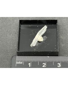 Leiteit xx; Tsumeb Mine, Otaviberge, Namibia; Ilse Baer Sammlung; MM; Einzelstück
