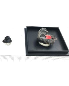 Ramazzoite xls/(xls); Lichtloch 26, Mansfeld, Saxony-Anhalt, Germany; TN