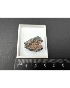 Coalingit; Toba, Mye, Japan; MM; Einzelstück