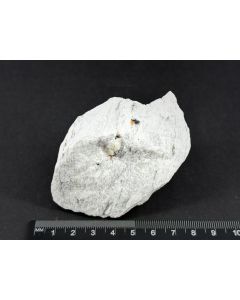 Seligmannite xls; Lengenbach, Binntal, Switzerland; Scab; unique piece
