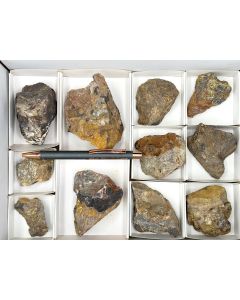 Tellurmineralien, Natrojarosit, Chlorargyrit und Mimetesit xx; Empire Mine, Tombstone, Arizona, USA; 1 Halbformat Steige; Unikat