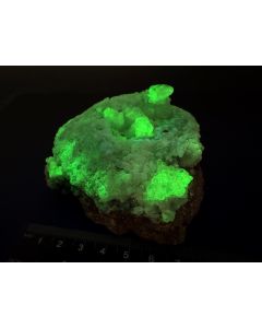 Hyalit, UV-aktiv (KW); Zacatecas, Mexiko; NS; Einzelstück