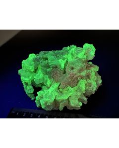 Hyalit, UV-aktiv (KW); Zacatecas, Mexiko; HS; Einzelstück