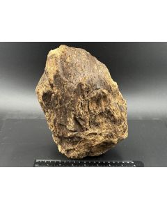 Bernstein mit Holzstruktur; Sumatra, Indonesien; 2 kg; Einzelstück