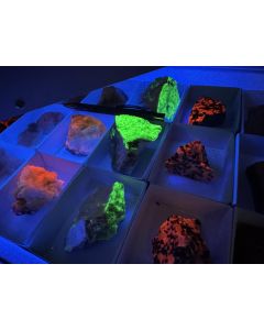 UV-Minerale (gemischt); Franklin Furnace, Sussex Co., New Jersey, USA; 1 Steige; Unikat