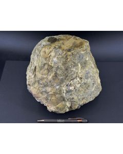 Fossil (petrified) wood with opal; Garut, Java, Indonesia; Single piece 7.4 kg