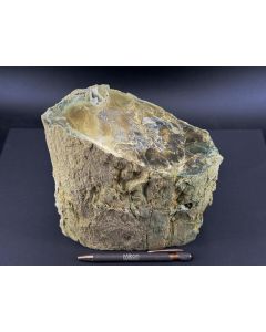 Fossil (petrified) wood with opal; Garut, Java, Indonesia; Single piece 5.4 kg