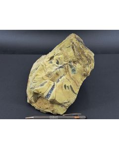 Fossil (petrified) wood with opal; Garut, Java, Indonesia; Single piece 3.6 kg