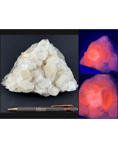Calcit (UV-aktiv!); Crestmore, Jupura Hills, CA, USA; HS; Einzelst&uuml;ck
