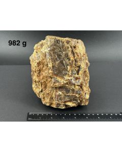 Amber with wood texture; Sumatra, Indonesia; large Cab; unique piece
