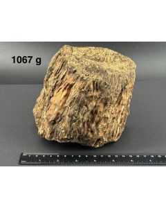 Amber with wood texture; Sumatra, Indonesia; large Cab; unique piece
