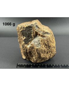 Amber with wood texture; Sumatra, Indonesia; large Cab; unique piece
