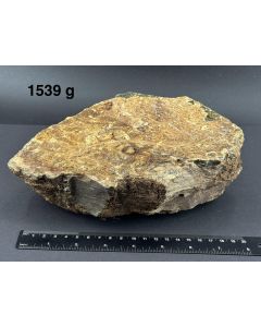 Amber with wood texture; Sumatra, Indonesia; large Cab; unique piece
