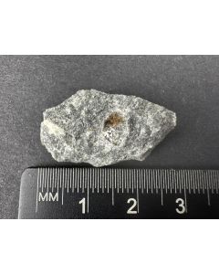 Fluorapophyllit xx (weiß); Aris, Namibia; MM; Einzelstück