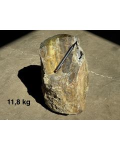 Fossiles (versteinertes) Holz mit Opal; Garut, Java, Indonesien; Einzelst&uuml;ck