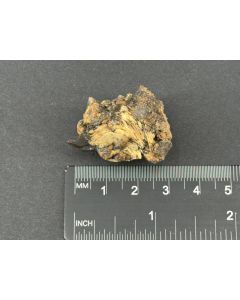 Eudidymit xx; Mt. Malosa, Zomba, Malawi; KS; Einzelst&uuml;ck