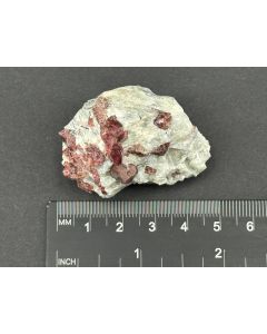 Eudialyt xx; Flora, Kola, Ru&szlig;land; KS; Einzelst&uuml;ck