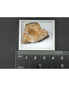 Ferberit; Silverton, CO, USA; KS; Einzelstück