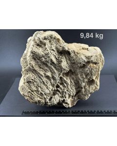 Fossiles (versteinertes) Holz mit Opal; Garut, Java, Indonesien; Einzelst&uuml;ck