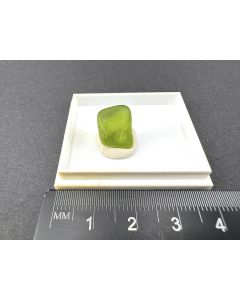 Forsterit; Peridot, AZ, USA; MM; Einzelstück