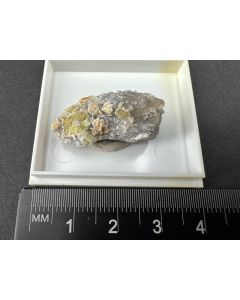 Forsterit xx; Arandis, Namib, Namibia; KS; Einzelstück