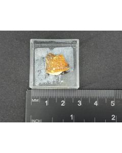 Eclarit (xx); B&auml;renbad, Salzburg, &Ouml;sterreich; MM; Einzelst&uuml;ck