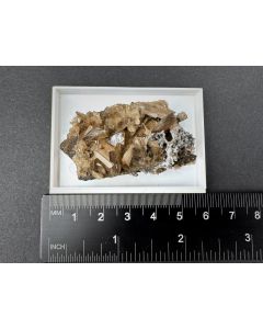 Embolit xx; Central Mine, Broken Hill, Australien; KS; Einzelst&uuml;ck