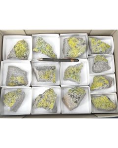 Phurcalit xx; UV-aktiv; Posey Mine, UT, USA; 1 Steige; Unikat