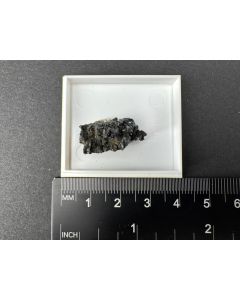 Enargit xx; Serro de Pasco, Peru; KS; Einzelst&uuml;ck