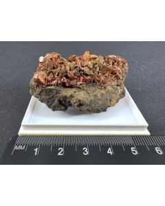 Heulandit xx; Grube Samson, St. Andreasberg, Harz, Deutschland; NS; Einzelstück