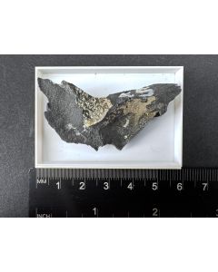 Heliophyllit xx; Pacha Limani, Laurion, Griechenland; KS; Einzelst&uuml;ck