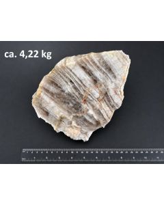 Rauchquarz; Madagaskar; Einzelst&uuml;ck