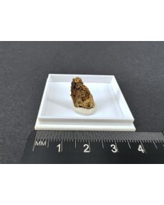 Ferroselit xx; Ambrosia Lake, McKinley County, New Mexico, USA; MM; Einzelst&uuml;ck