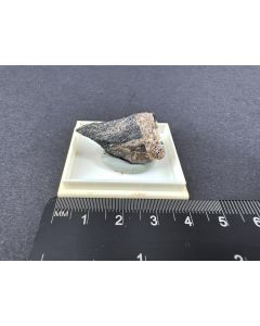 Harstigite xx; Harstigen, V&auml;rmland, Schweden; KS; Einzelst&uuml;ck