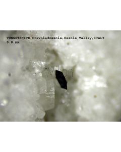 Tungstenit - 2H; Crevolodossola, Val d' Ossola, Novara, Italien; MM