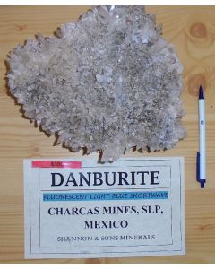 Danburit xx; Mina La Aurora, Charcas, San Luis Potosi, Mexico; GS