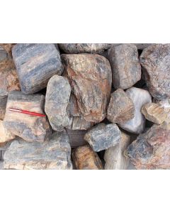 Fossiles (versteinertes) Holz, Kiesgrube Sermuth bei Gnandstein, Sachsen, D., 1 kg

