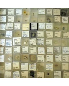 MM - Mikromount - Sammlung, 1 Partie von 100 Verschiedenen besonders guten und seltenen MM