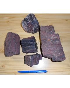 Fossiles (versteinertes) Holz, Kyffhäuser, Thüringen, D. 1 kg