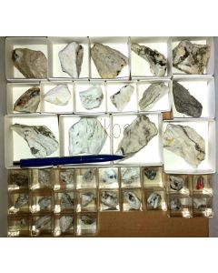Gemischte Mineralien aus der Grube Lengenbach, CH, 1 kleine Steige (37 Stück)