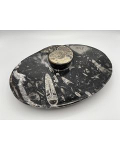 Orthoceras-Teller, oval, schwarz, mit aufgesetztem Ammoniten 1 Stück
