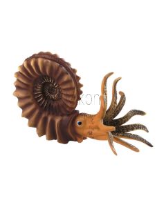 Pleuroceras Ammonit; Ammonitentier aus Hartgummi; 1 Stück