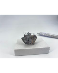 Kupfer Pseudomorphose, Azurit nach ged. Kupfer; Silver City, New Mexiko, USA; KS (#5)