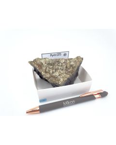 Pyrit; Wessels Mine, Kalahari Manganese Feld, Süd Afrika, Gerd Tremmel Sammlung; NS, Einzelstück