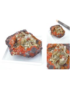 Paradamin xx; Mapimi, Mexiko; KS, Einzelstück