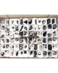 Aegirin xx, Feldspat xx; auf Matrix; Mt. Malosa, Zomba, Malawi; 1 Steige, Unikat (208)